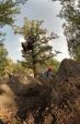 SB.DIRTJAM.2 (Poza 12 din 109)