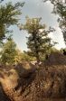 SB.DIRTJAM.2 (Poza 13 din 109)