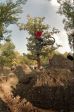 SB.DIRTJAM.2 (Poza 14 din 109)