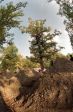 SB.DIRTJAM.2 (Poza 32 din 109)