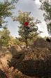 SB.DIRTJAM.2 (Poza 33 din 109)