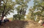 SB.DIRTJAM.2 (Poza 94 din 109)