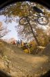 SB.DIRTJAM.3 (Poza 1 din 185) SB.DIRTJAM.3 (Poza 1 din 185)