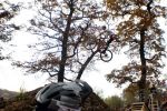 SB.DIRTJAM.3 (Poza 17 din 185) SB.DIRTJAM.3 (Poza 17 din 185)