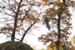 SB.DIRTJAM.3 (Poza 19 din 185) SB.DIRTJAM.3 (Poza 19 din 185)