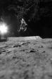 SB.DIRTJAM.3 (Poza 54 din 185) SB.DIRTJAM.3 (Poza 54 din 185)