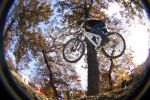 SB.DIRTJAM.3 (Poza 60 din 185) SB.DIRTJAM.3 (Poza 60 din 185)
