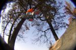 SB.DIRTJAM.3 (Poza 70 din 185) SB.DIRTJAM.3 (Poza 70 din 185)