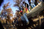 SB.DIRTJAM.3 (Poza 71 din 185) SB.DIRTJAM.3 (Poza 71 din 185)
