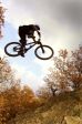 SB.DIRTJAM.3 (Poza 92 din 185) SB.DIRTJAM.3 (Poza 92 din 185)