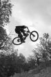 SB.DIRTJAM.3 (Poza 93 din 185) SB.DIRTJAM.3 (Poza 93 din 185)