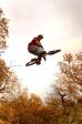 SB.DIRTJAM.3 (Poza 97 din 185) SB.DIRTJAM.3 (Poza 97 din 185)