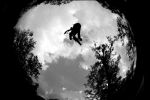 SB.DIRTJAM.3 (Poza 106 din 185) SB.DIRTJAM.3 (Poza 106 din 185)