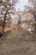 SB.DIRTJAM.3 (Poza 115 din 185) SB.DIRTJAM.3 (Poza 115 din 185)