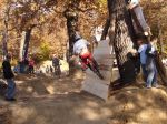 SB.DIRTJAM.3 (Poza 135 din 185) SB.DIRTJAM.3 (Poza 135 din 185)