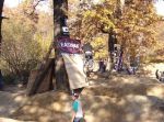 SB.DIRTJAM.3 (Poza 147 din 185) SB.DIRTJAM.3 (Poza 147 din 185)