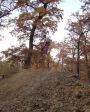 SB.DIRTJAM.3 (Poza 157 din 185) SB.DIRTJAM.3 (Poza 157 din 185)