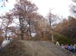 SB.DIRTJAM.3 (Poza 158 din 185) SB.DIRTJAM.3 (Poza 158 din 185)