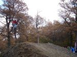 SB.DIRTJAM.3 (Poza 160 din 185) SB.DIRTJAM.3 (Poza 160 din 185)