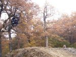 SB.DIRTJAM.3 (Poza 161 din 185) SB.DIRTJAM.3 (Poza 161 din 185)