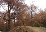SB.DIRTJAM.3 (Poza 169 din 185) SB.DIRTJAM.3 (Poza 169 din 185)
