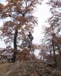 SB.DIRTJAM.3 (Poza 172 din 185) SB.DIRTJAM.3 (Poza 172 din 185)