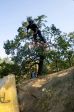 SB.DIRTJAM.4 (Poza 14 din 84) SB.DIRTJAM.4 (Poza 14 din 84)