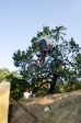 SB.DIRTJAM.4 (Poza 15 din 84) SB.DIRTJAM.4 (Poza 15 din 84)