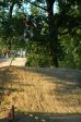 SB.DIRTJAM.4 (Poza 65 din 84) SB.DIRTJAM.4 (Poza 65 din 84)