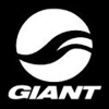 Articole Giant