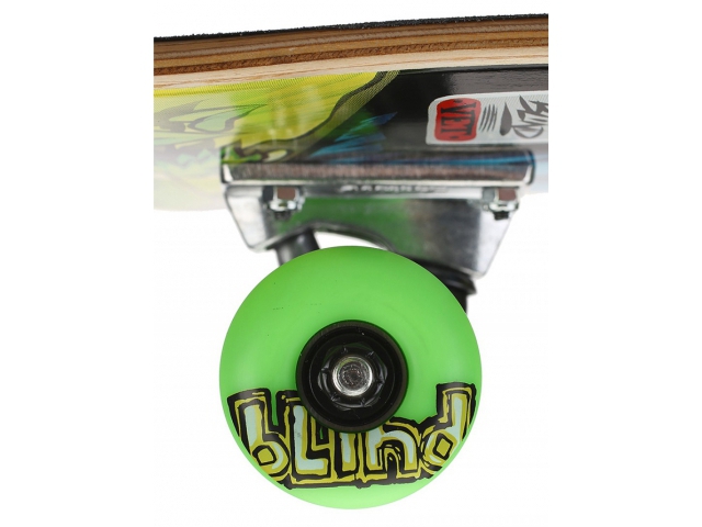 Blind Cat Scratch Green/Yellow 7.75 (detaliu #2)