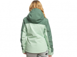 Roxy Free Jet Block Snow Jacket Dark Forest (thumb #1)