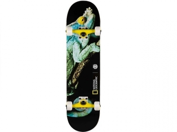 Element Nat Geo Iguana 8.0 Element Nat Geo Iguana 8.0