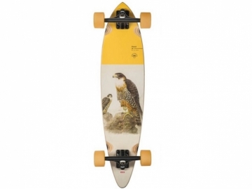 Globe Pintail 34 Falcon (imagine principala)