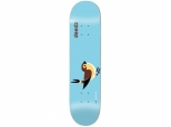 Enjoi Deedz Early Bird R7 8.25 (thumb #0)