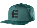 Etnies Icon Snapback Cap Teal (thumb #0)