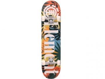 Element Monstera 8.0 Assorted (imagine principala)
