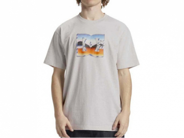 DC Chrome SS Tee Snow Heather (imagine principala)