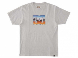 DC Chrome SS Tee Snow Heather (thumb #2)