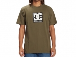 DC Squre Star Print Tee Ivy Green