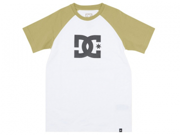 DC Star Boys SS Tee White/Sage (imagine principala)