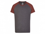 Element Basic Raglan SS Oxblood Heather (thumb #0)
